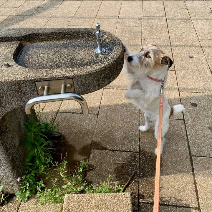 992b2c47 2434 46ce 96f5 a6340b1d22f0 1684667378238