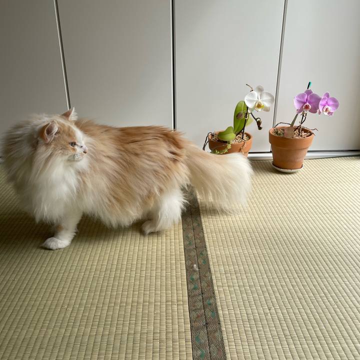 992b30fc cb28 474a aa82 7a875f407148 1649363186028