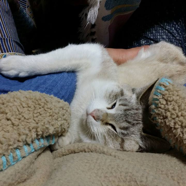 992b37e7 b0d2 40fc be17 a13b8eef23cd 1515856181931