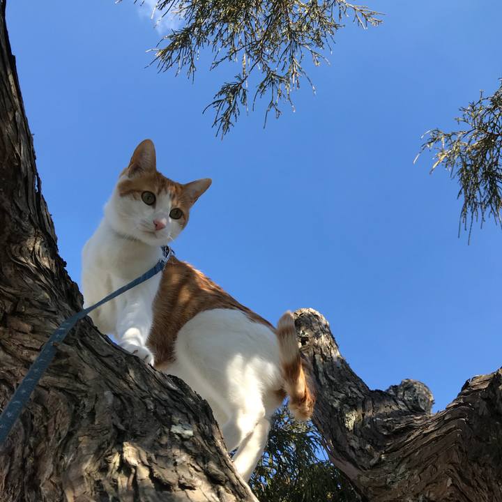 992b4ef4 043d 43ab bce1 4d63c38d6aff 1517371564958