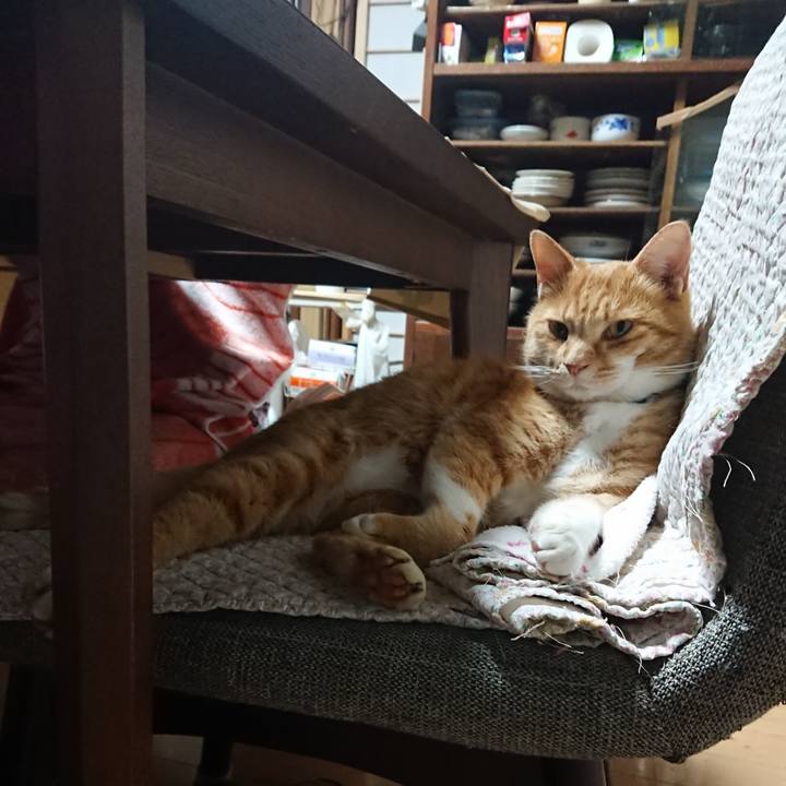 992b646d 72d4 4ca5 a8b4 05e995f78e88 1605041038772