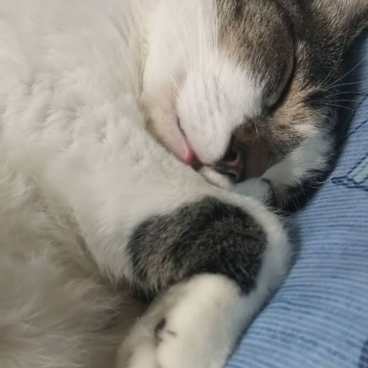 992b7644 f267 47ed bf57 2b3191eb8ab2 1606117200198