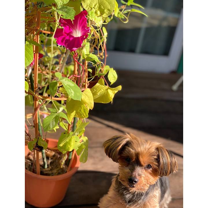 992b7bac d02f 45be b9b7 0bc3d267fe99 1633215772495