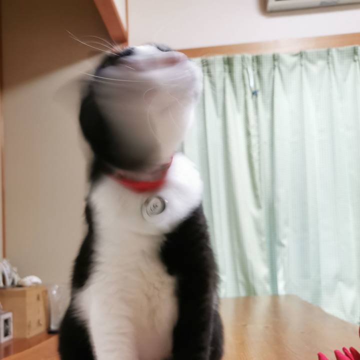 992b89cd ec3f 4a5f b415 69f675ee5395 1657078241496