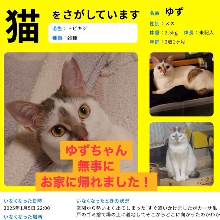 992be37d 5f93 4651 b488 2cc61b401ef5 1736556954902