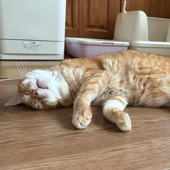 992c1929 25f1 462d a7ce 3ad708e03358 1682328709791