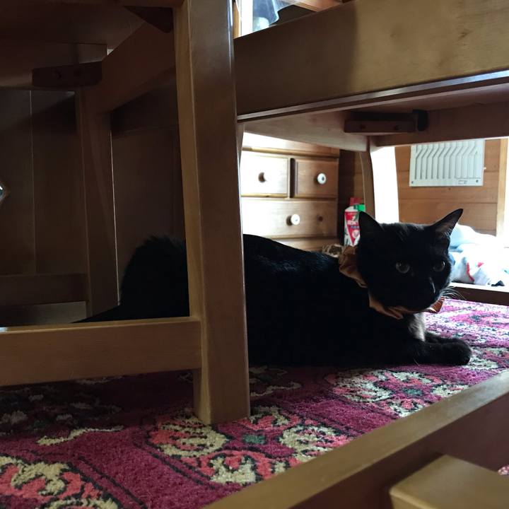 992c239e ebc7 4d76 b08e fd801eb97dcb 1625129453617