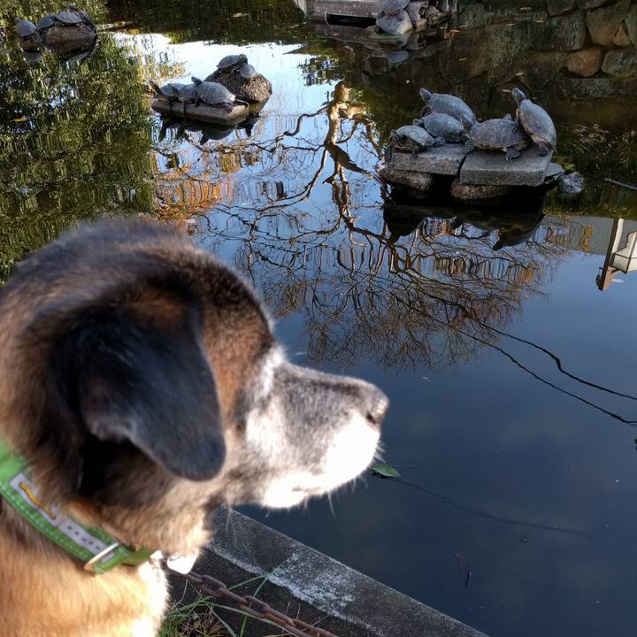 992c2845 4f79 4afe a118 f97fedf1afe0 1509671108893