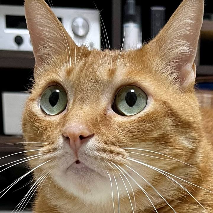 992c77cb c9ca 49a2 93b2 05a4f6acbbe1 1654953179079