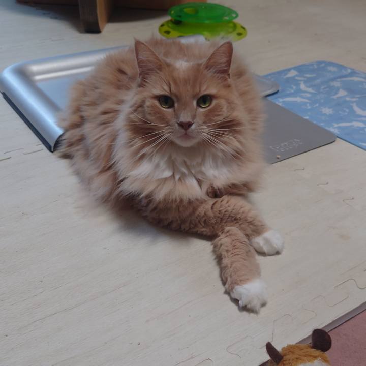 992c7acb c94a 49f9 a2b6 91cbf490ba6b 1694675372793