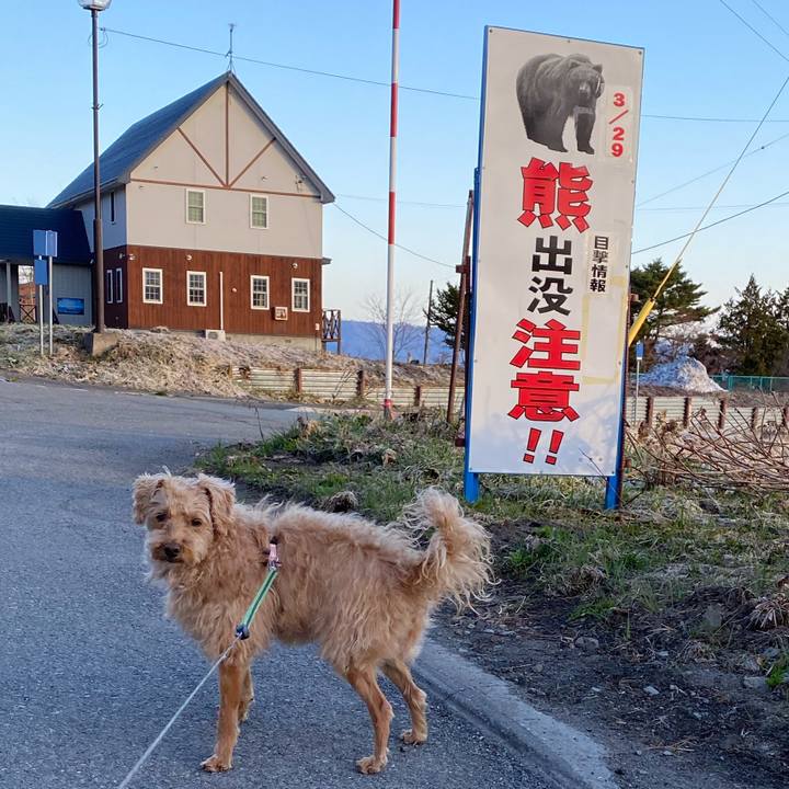 992cad1e 276f 4caf b4e9 fd1a8fa6a91b 1650059178699