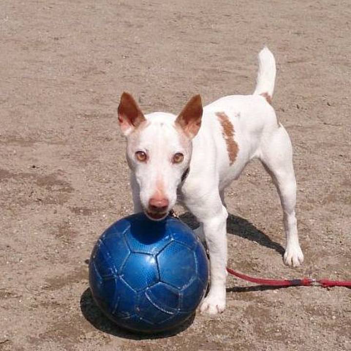 992cc3af f7e8 48a3 8b7a 2dec56cbb15f 1550406121324