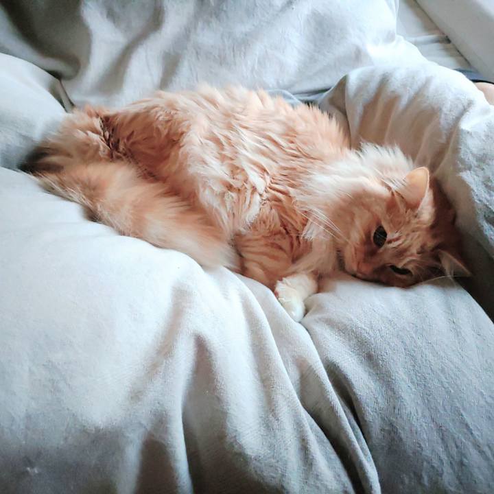 992cd015 d3f5 4f5d 88a2 39ca6eb4d718 1678485060035