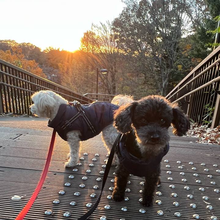 992cd1b3 4781 4c1d 8212 463067041a5d 1764922228652