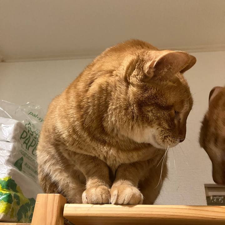 992d14fc 7acf 4f48 9dfa b101aa3a2651 1766137332798