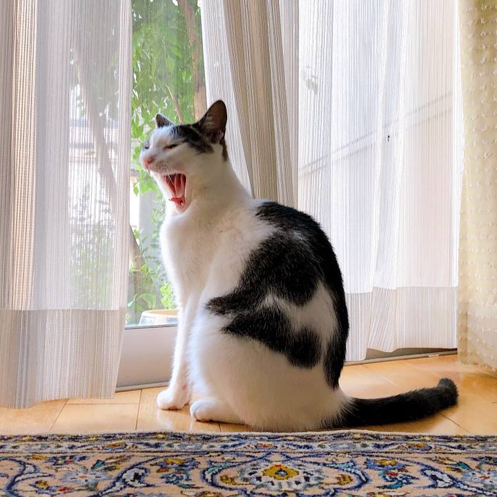 992d3d42 58f1 4578 b1f5 6201063674c6 1624265638940