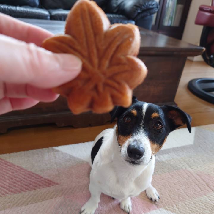 992d54ff b769 43e2 9394 8f63519f9261 1687940479366