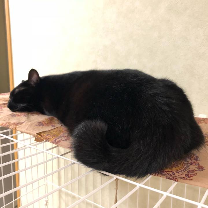 992d7eec facc 42d3 b73a 77944b53a59c 1539341103017