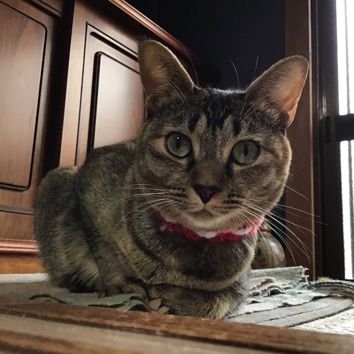 992d9774 a9b0 4bc6 8fc5 23232f11c9f8 1604214340664