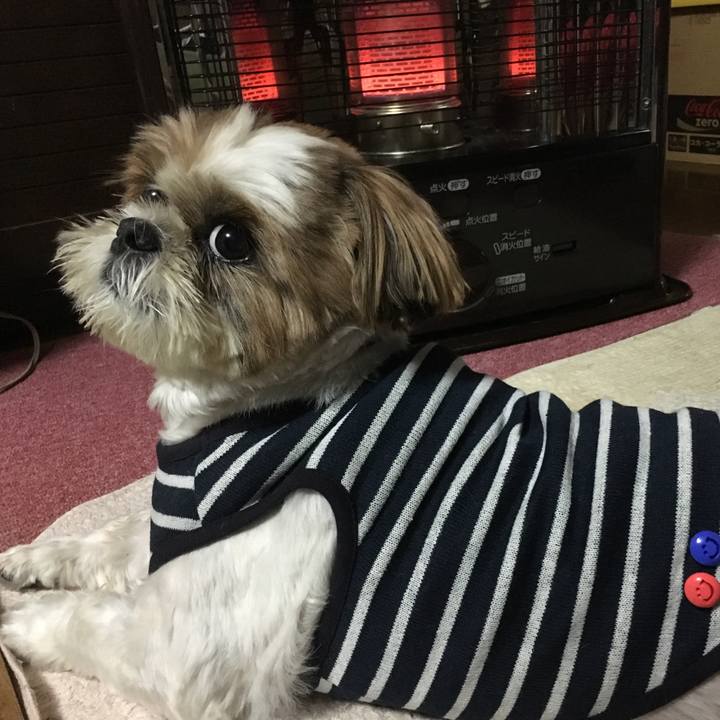 992dcaef 79f3 4791 850f af71fa5cca82 1508051418076