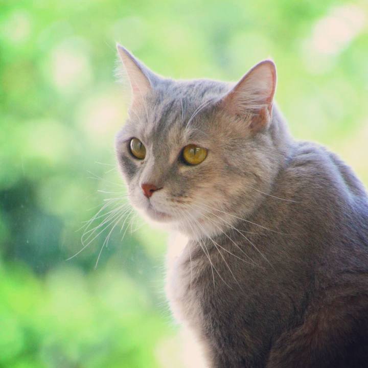 992e0689 87ca 408a 9e3e 96197dc9e07c 1532060869943