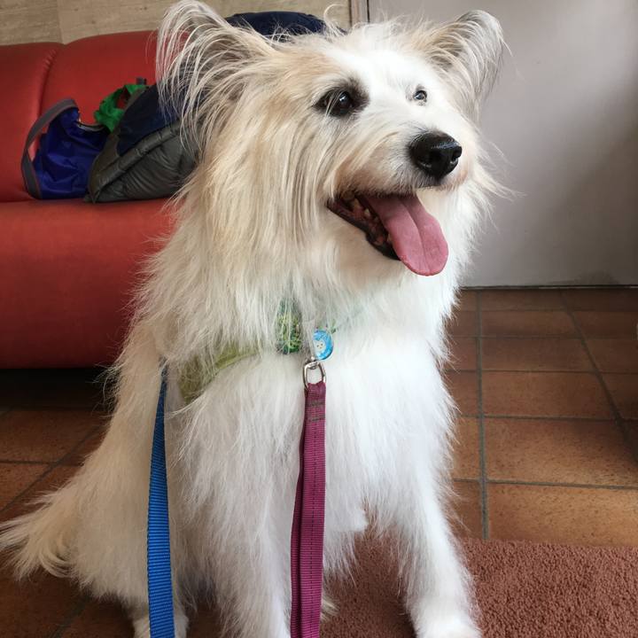 992e1ff6 2dab 47ea 8793 20ab2592bcf7 1516588250539