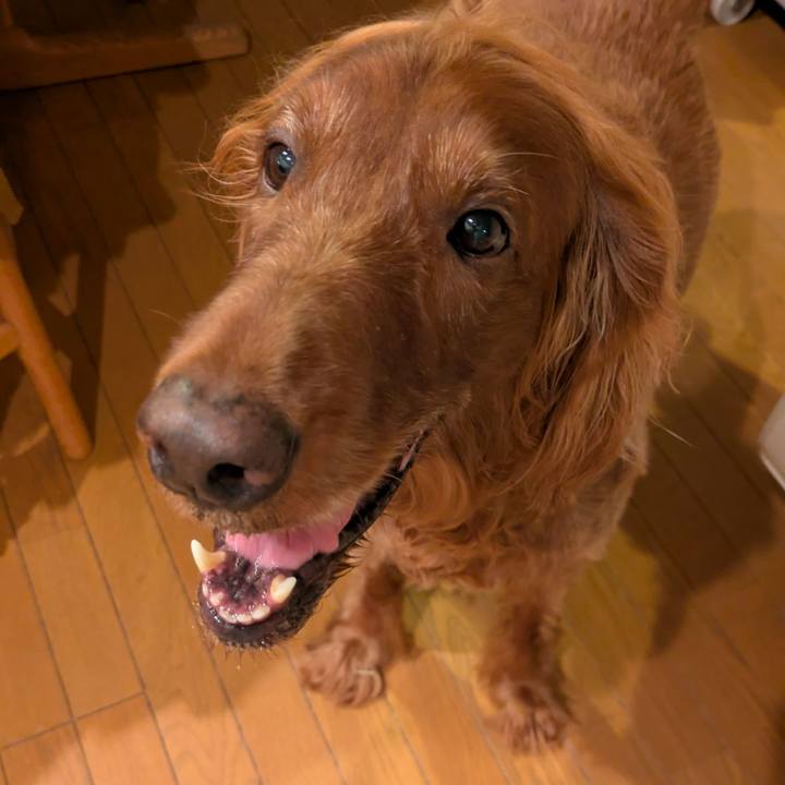 992e3c2c c9c7 46dd 8c33 9d9f1704449d 1756558652431