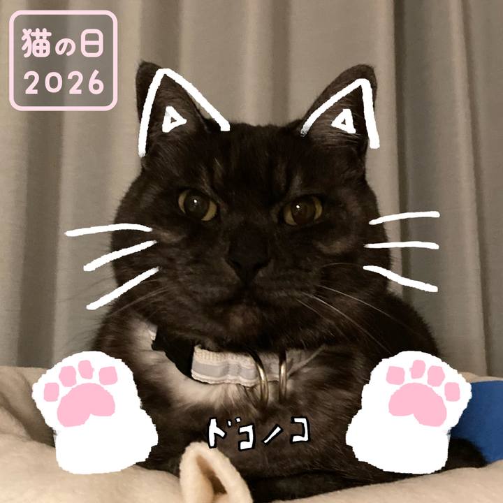 992e7c85 dc18 4d5e a8f4 0b7e1cdfeb6a 1771727226061