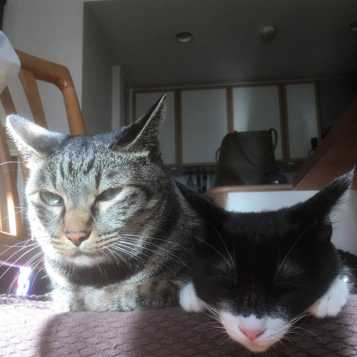 992eaa89 96a9 4124 8b75 34424dd44671 1509875557369