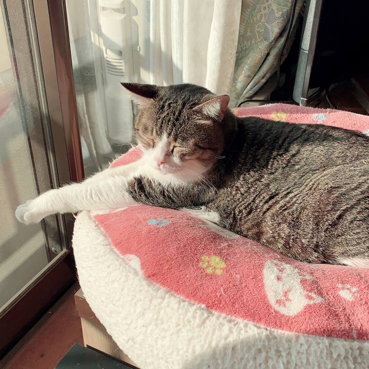 992ec712 7d88 497e 83b2 270fad0d6618 1576649463381