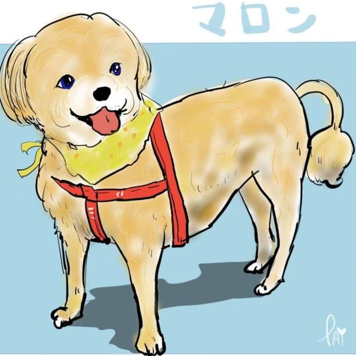 992f1647 248d 4a5a b18e e97fb04d8582 1639539725592