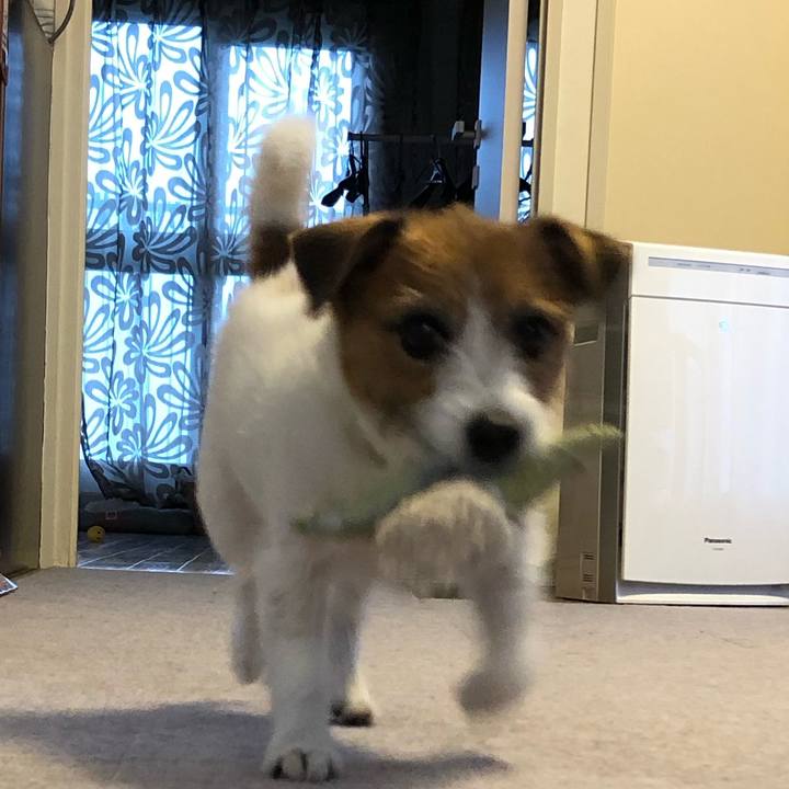 992f1d36 f68f 41b5 a9d3 5d1a2bf6d686 1593177068281