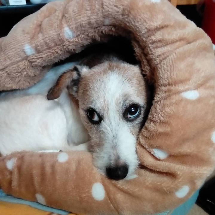 992f791d f943 4a97 8de6 8994f9e59549 1582632208666