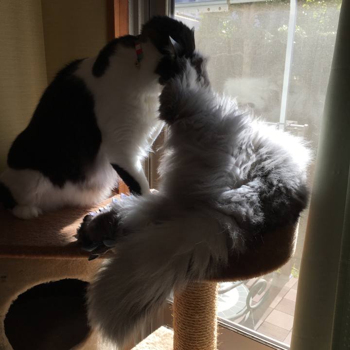 992f97ce 840a 4bff b1a3 ec91994e4d00 1513234440305