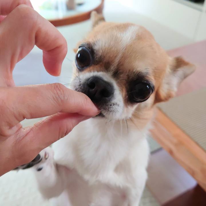 992fc257 9712 44b8 9685 4316fe148274 1687738167284