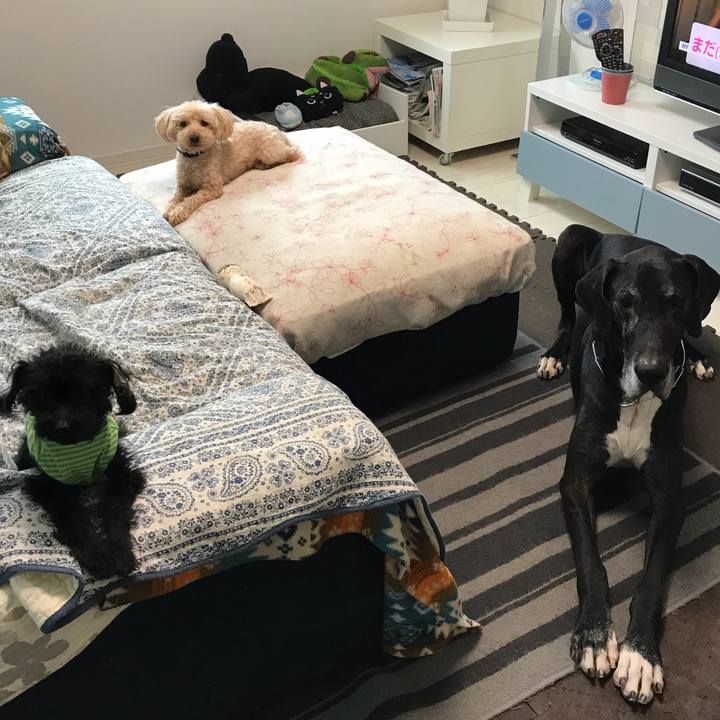 992fdf11 75ad 4562 a7a6 1f26a04cc295 1525819884318