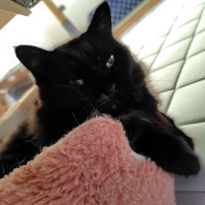 992ffab8 40da 4700 a381 49661b11e2b5 1753356930574