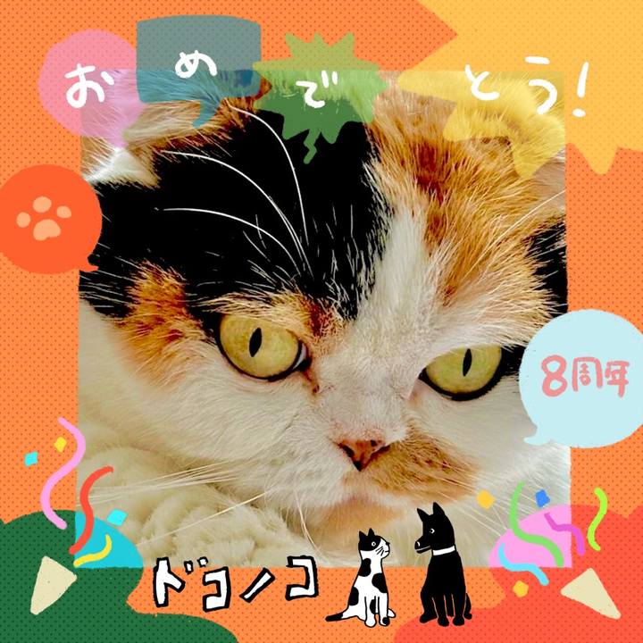 993017d5 b2d5 42f6 8cac 7429e768cf4c 1717555600714