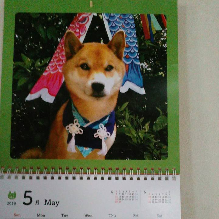 993029d9 94b1 417a b270 02e760107789 1525135575665