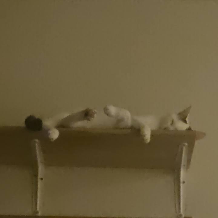 99304a53 de8b 4974 a373 2eb8fa195c16 1752640461389