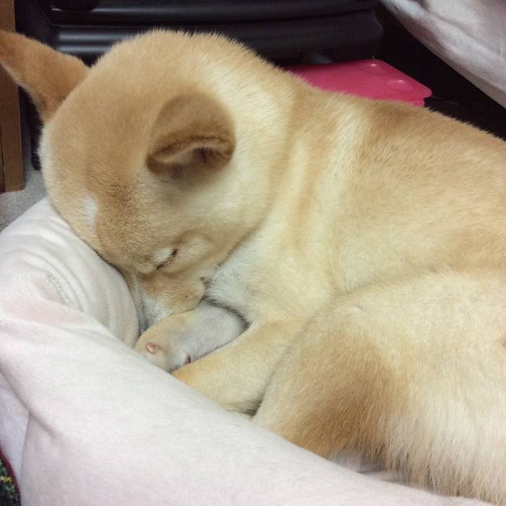 99304e86 752c 414b a27e 08e05e89353b 1508154589351