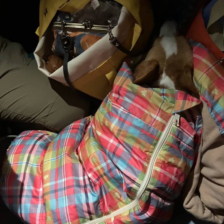 99306685 d0f3 4592 bf5c c4db2cac3ab7 1760199176432