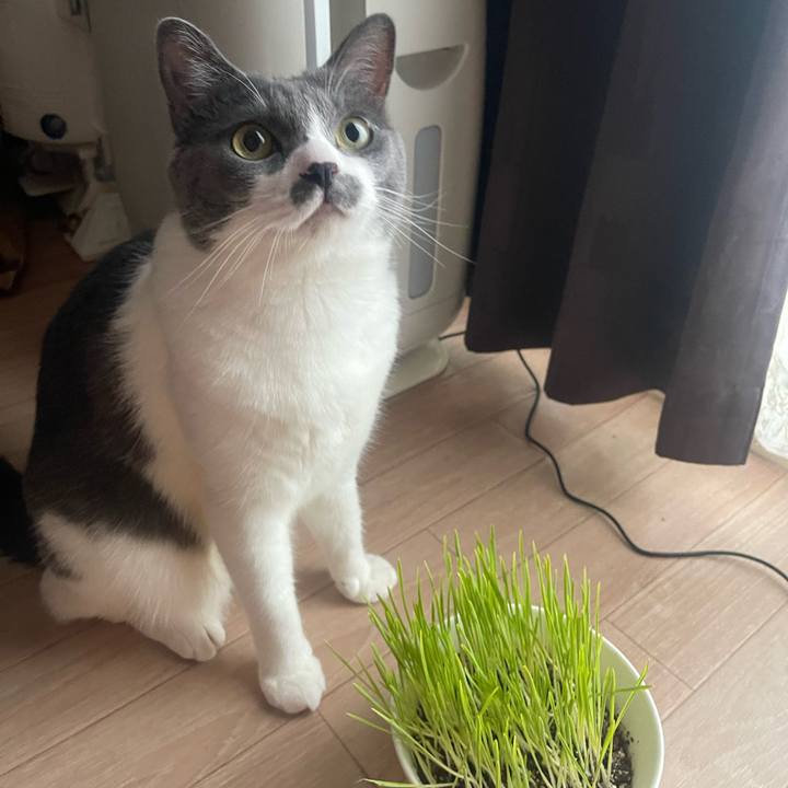 9930912b cead 47d5 a641 3eef057c4433 1721780999813