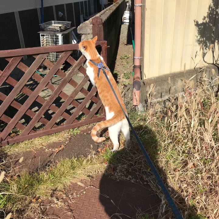 9930b71e 4e1a 4a7e a016 b230e78f663e 1510551970105