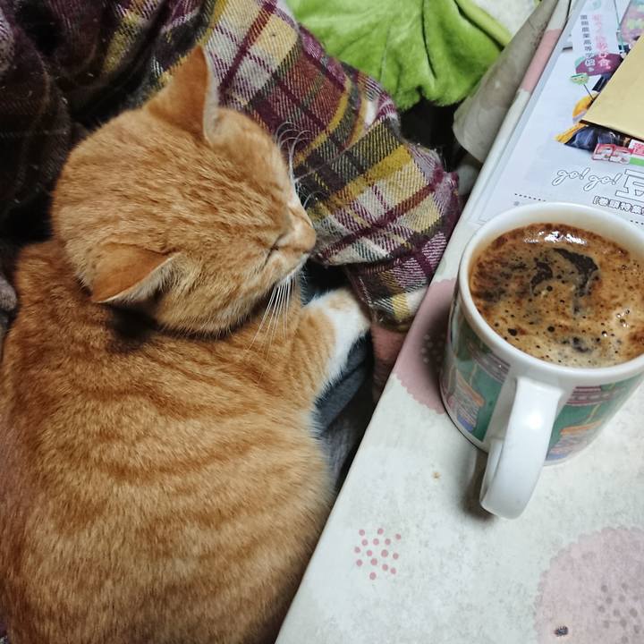 9930b92f 3f68 4664 b182 04ff40efcdf6 1582404419706