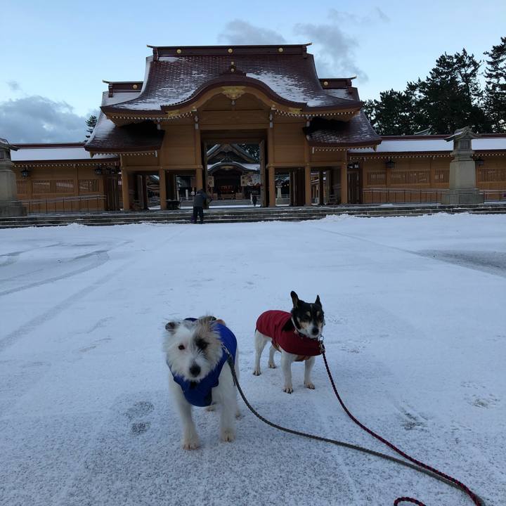 9930fcca c1f3 42e8 a557 efc1b4b6cd03 1548029970549