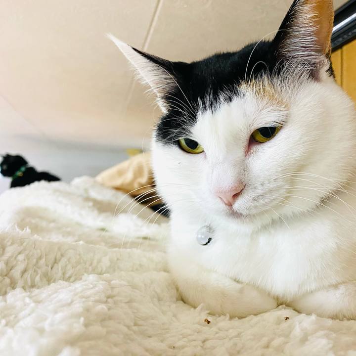 99310828 ed33 4ed5 9b82 fdf208eee506 1672003475263