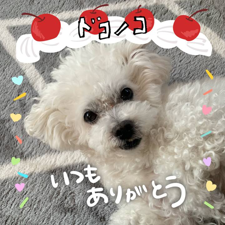 9931209b 33aa 48d2 a848 4391e748ecbf 1686009549273