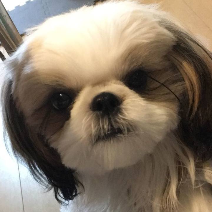 99313f32 99a4 4e74 b7fb ebd31afa0d00 1544152196021