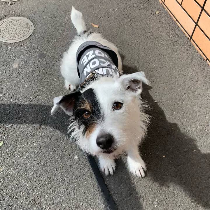 9931888c 7aed 495e b54e 035e2c545528 1652228703777